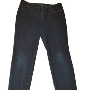 LOFT Ann Taylor Women's Modern Skinny Ankle Denim Women's Jean Size   32/14